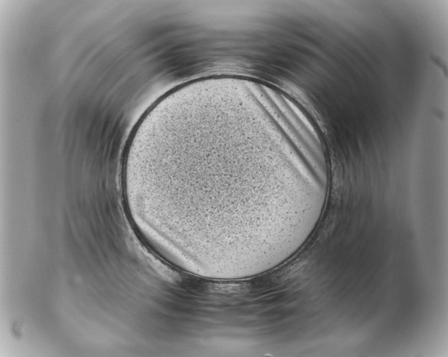 X0000102481339200808291619