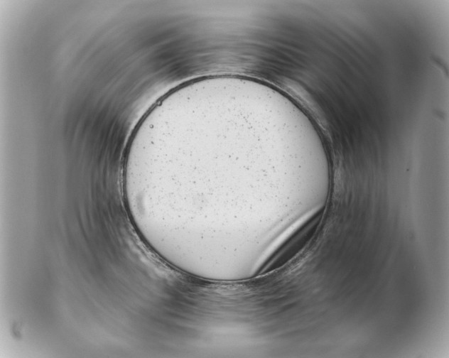 X0000102481340200808291619