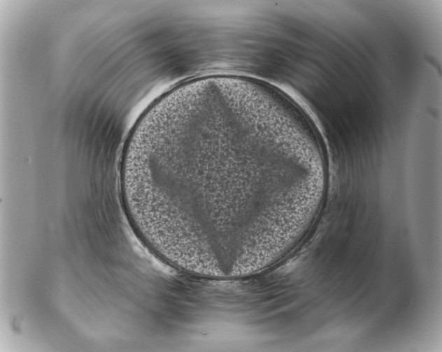 X0000102481341200808291619