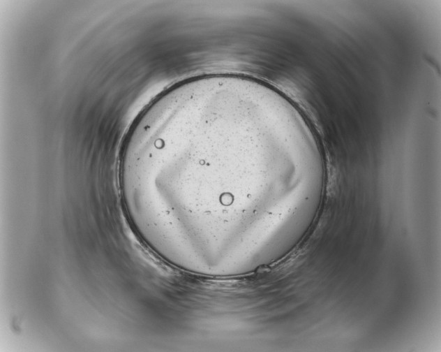 X0000102481342200808291619