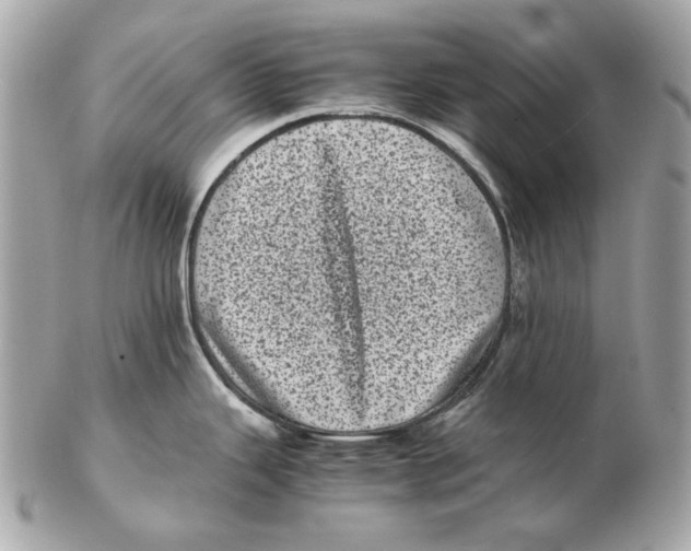 X0000102481343200808291619