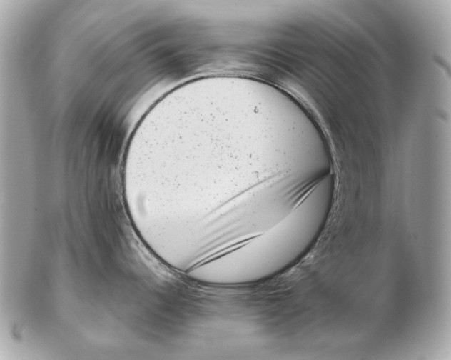 X0000102481344200808291619