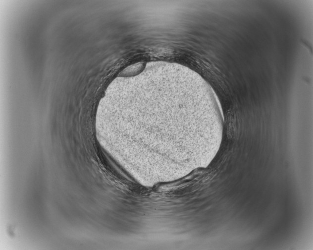 X0000102481345200808291618