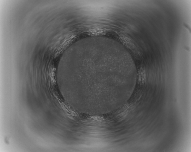 X0000102481346200808291618