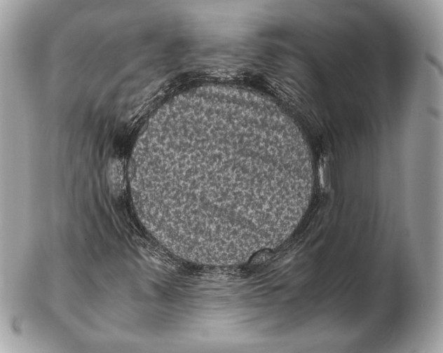 X0000102481347200808291618