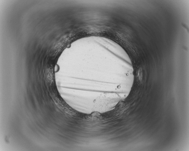 X0000102481348200808291618