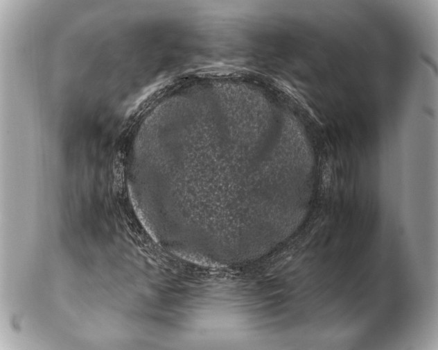 X0000102481350200808291618