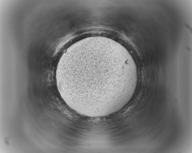 X0000102481352200808291618