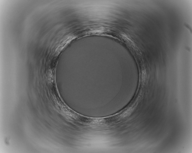 X0000102481353200808291618