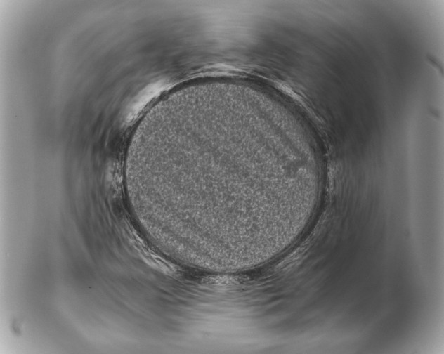 X0000102481355200808291618