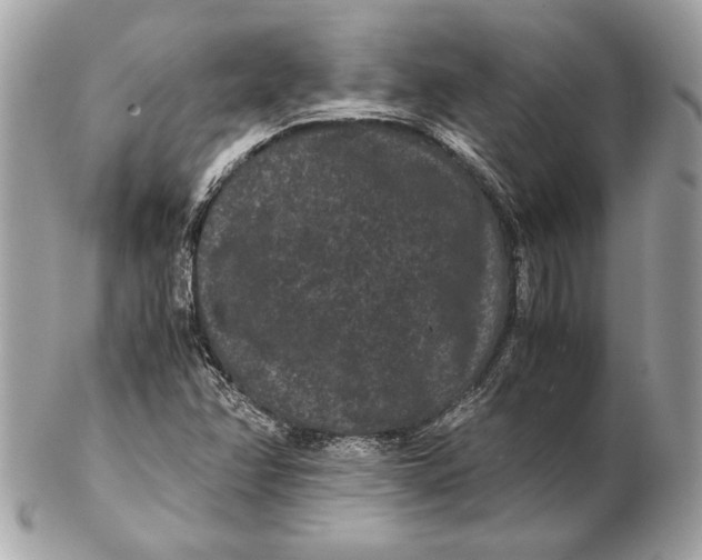 X0000102481358200808291618