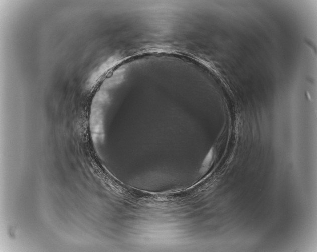 X0000102481359200808291618