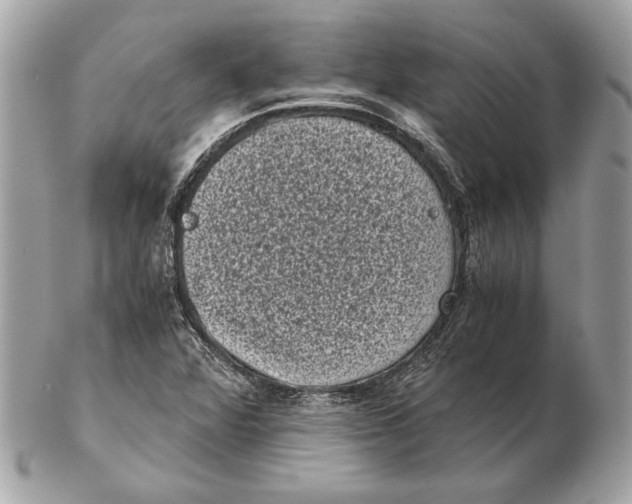 X0000102481360200808291618