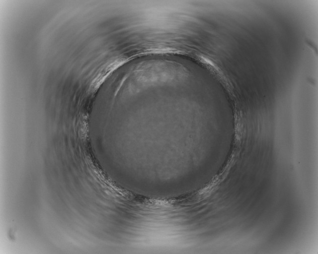 X0000102481361200808291618