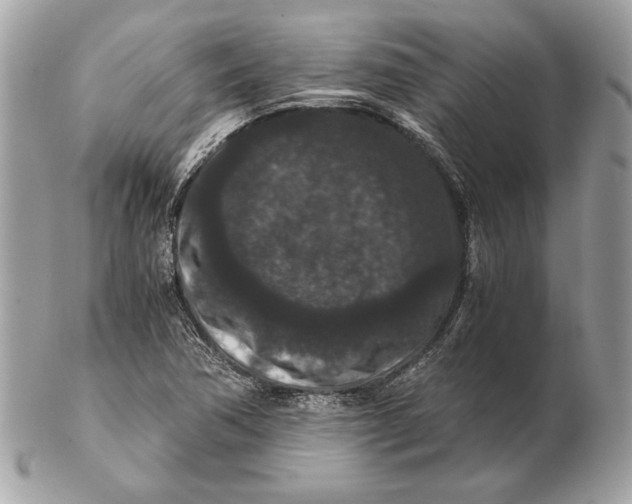 X0000102481362200808291618