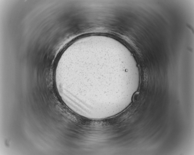 X0000102481364200808291618