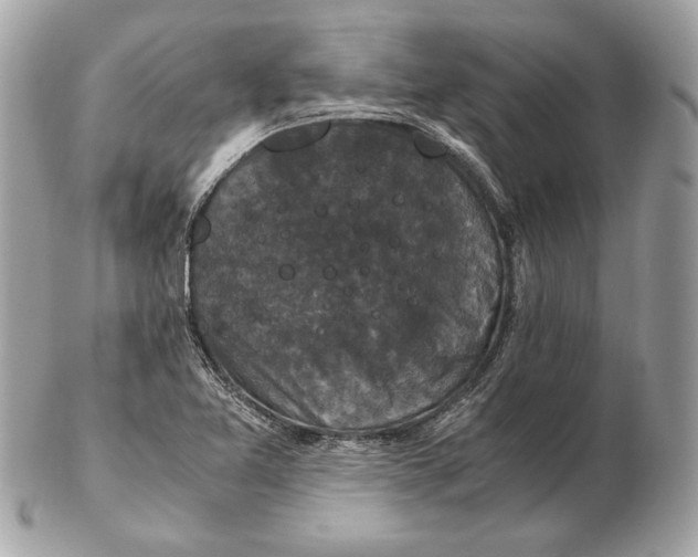 X0000102481365200808291618