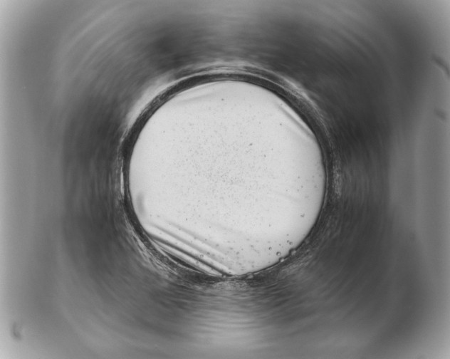 X0000102481368200808291618