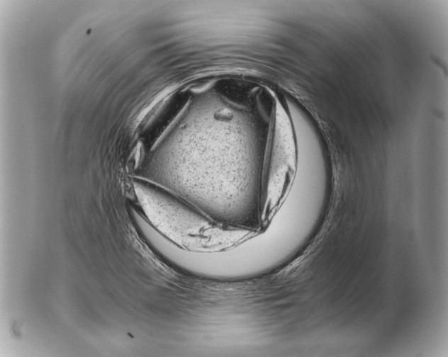 X0000102481369200808291618