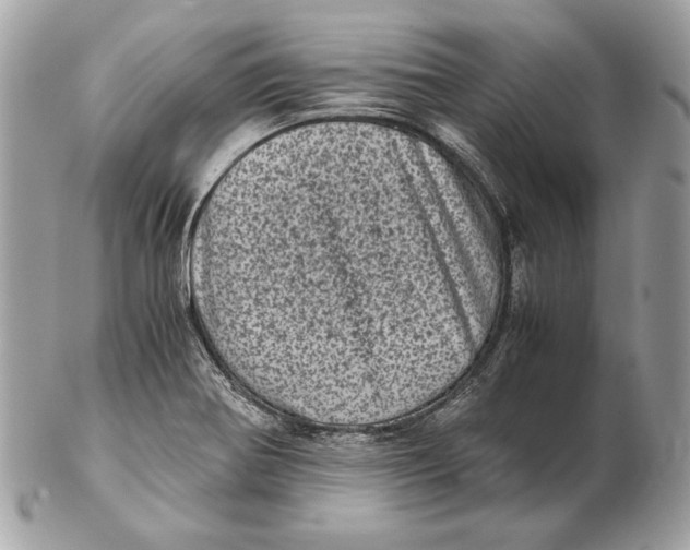 X0000102481370200808291618