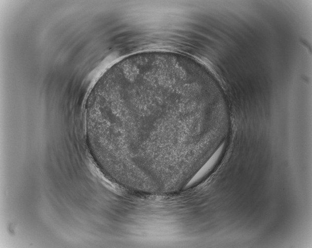 X0000102481371200808291618