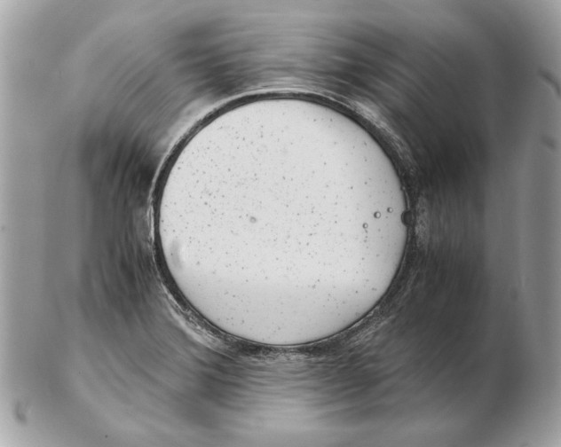 X0000102481372200808291618