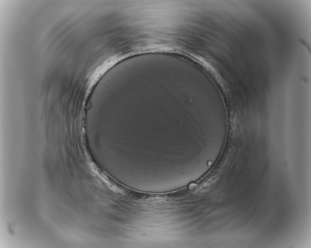 X0000102481373200808291618