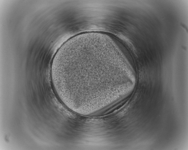 X0000102481374200808291618