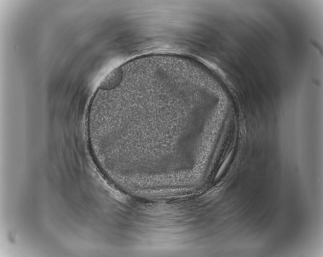 X0000102481375200808291618