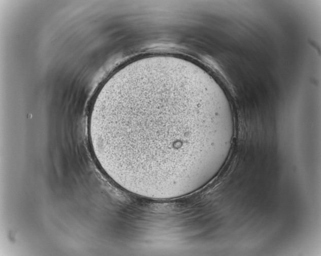 X0000102481376200808291618