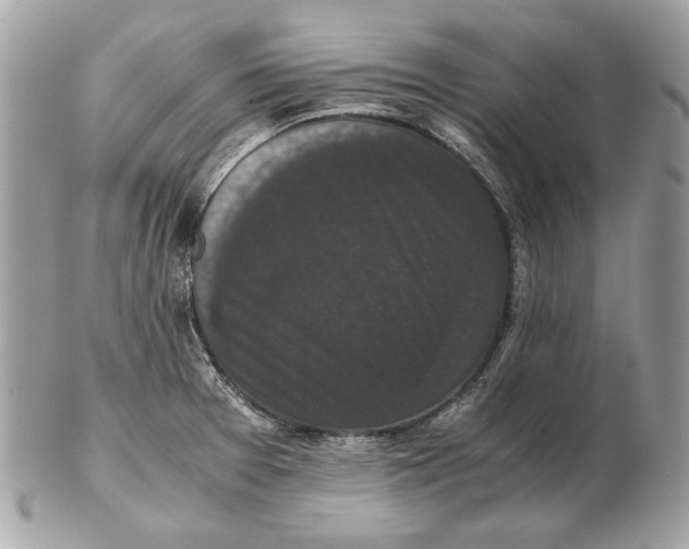 X0000102481377200808291618