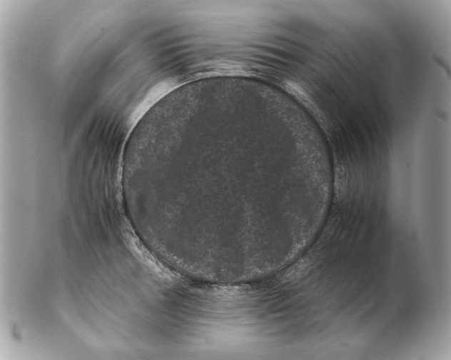 X0000102481378200808291618