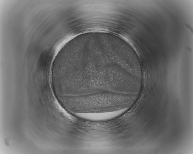 X0000102481379200808291618