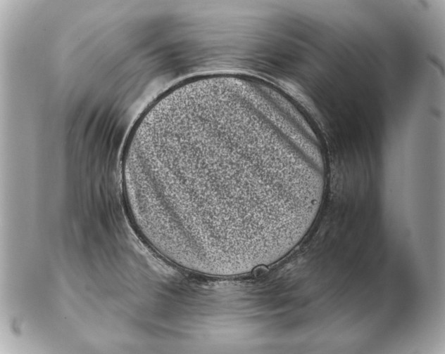 X0000102481380200808291618