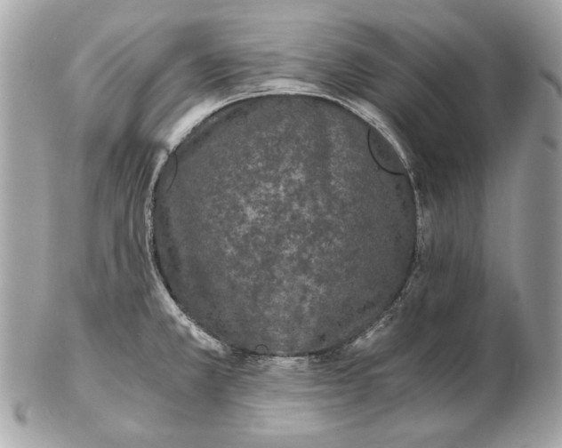 X0000102481381200808291618