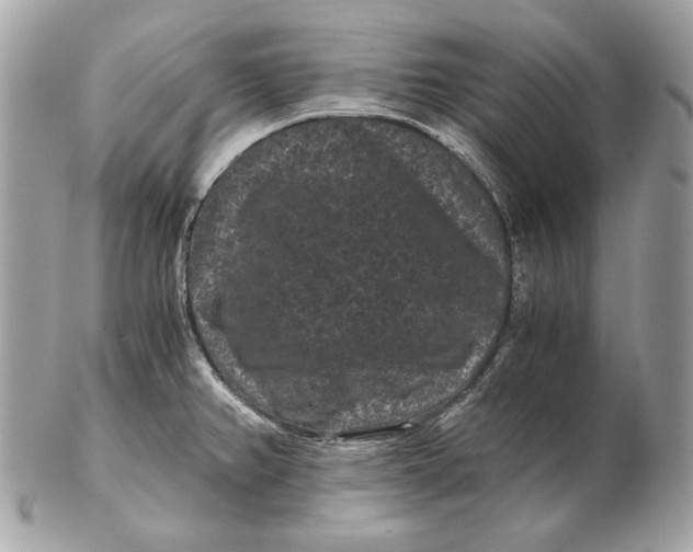 X0000102481382200808291617