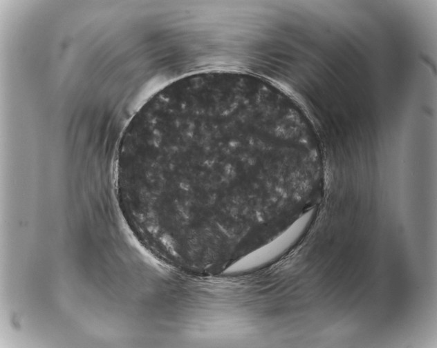 X0000102481383200808291617