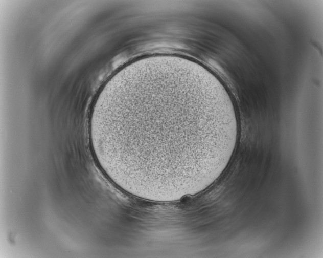 X0000102481384200808291617