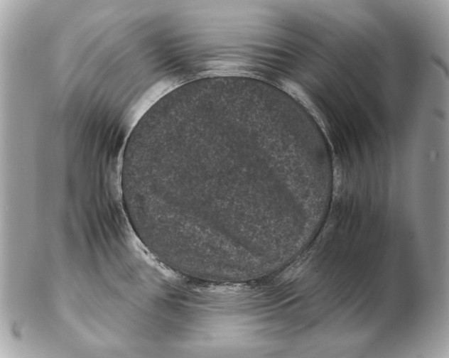 X0000102481386200808291617