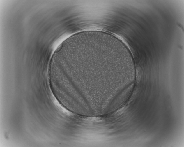 X0000102481387200808291617