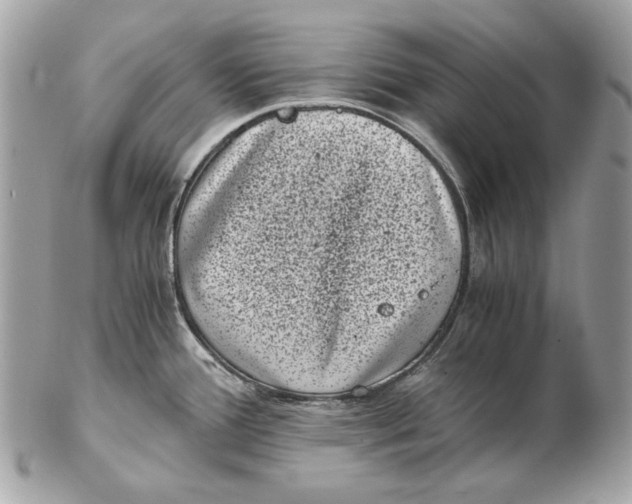 X0000102481388200808291617