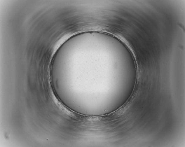 X0000102481389200808291617