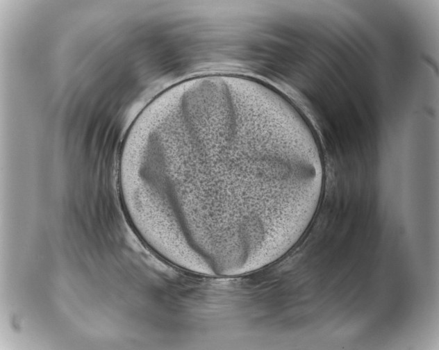 X0000102481390200808291617