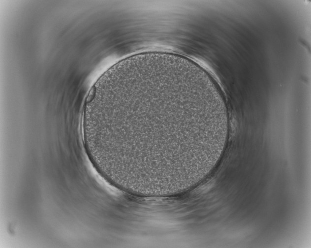 X0000102481391200808291617