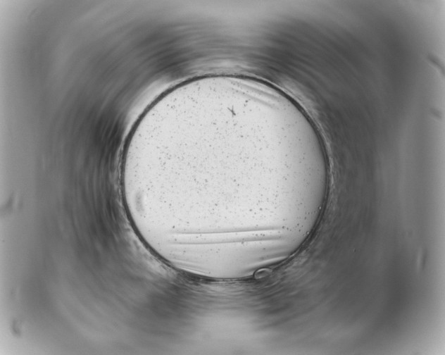 X0000102481392200808291617