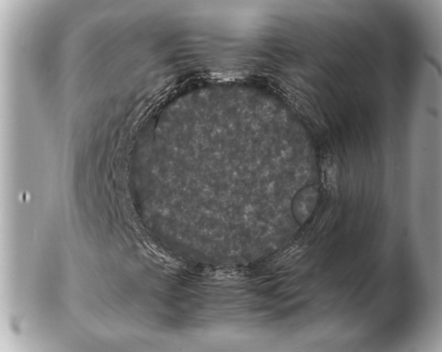 X0000102481393200808291617