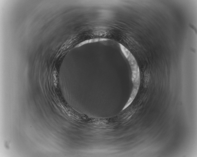 X0000102481394200808291617