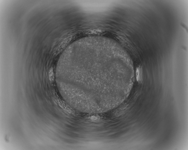 X0000102481395200808291617