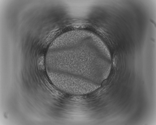 X0000102481396200808291617