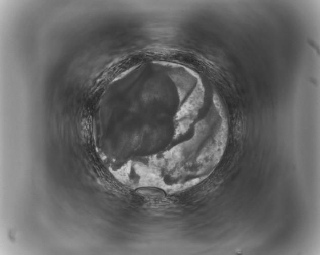 X0000102481397200808291617